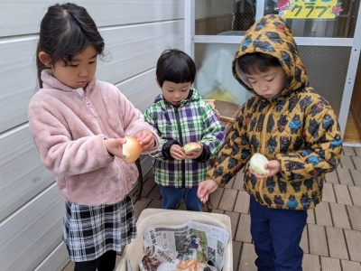 皮むき