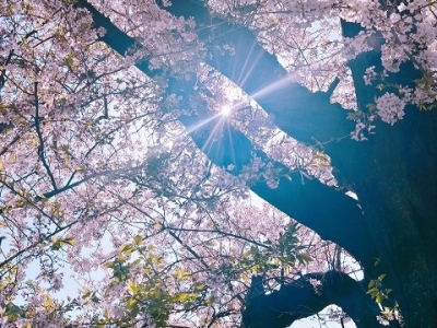image5