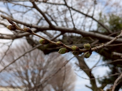 LINE_ALBUM_2025321 修了式_250323_5