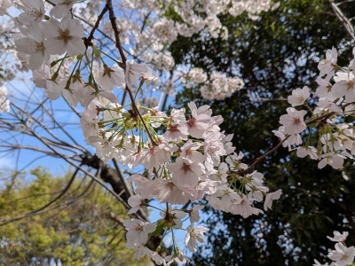すべり台